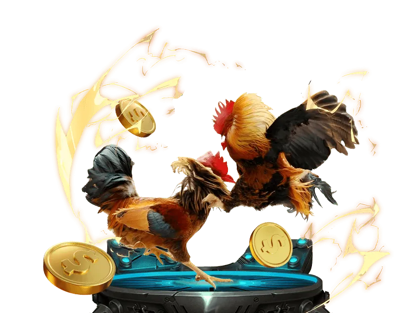 Các bước rút tiền từ tài khoản Cat88